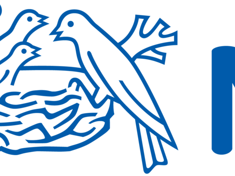 雀巢3，牛奶乳业logo，品牌商标logo42