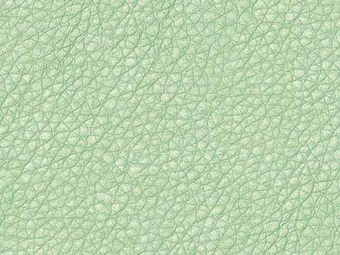  绿色皮革 
