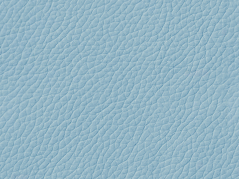  蓝色皮革 