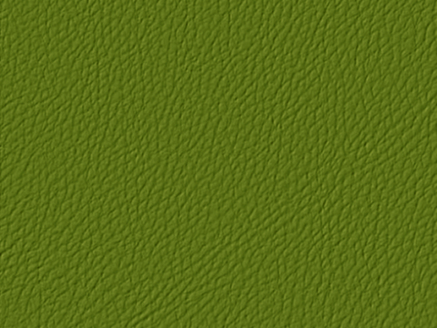  绿色皮革 