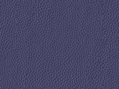  蓝色皮革 