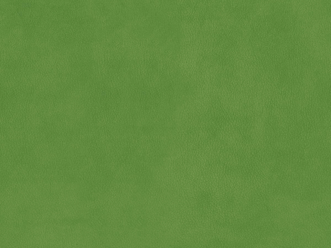  绿色皮革 