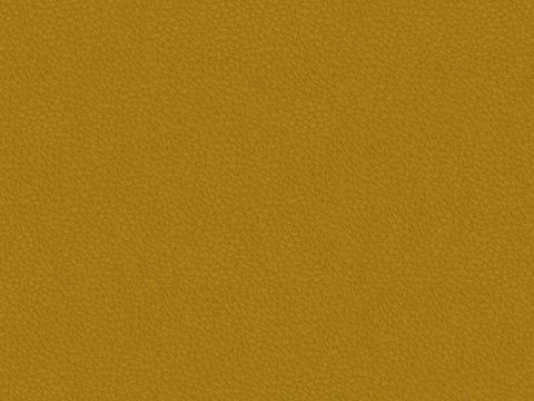  黄色皮革 