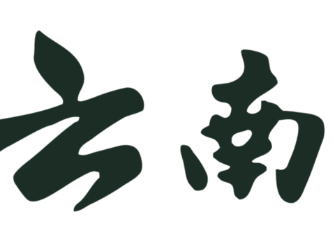  云南白药，制药药业logo 