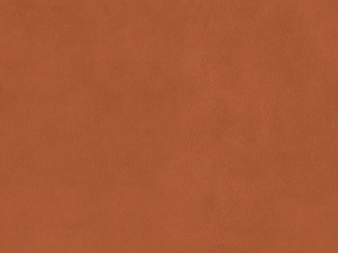  橙色皮革 