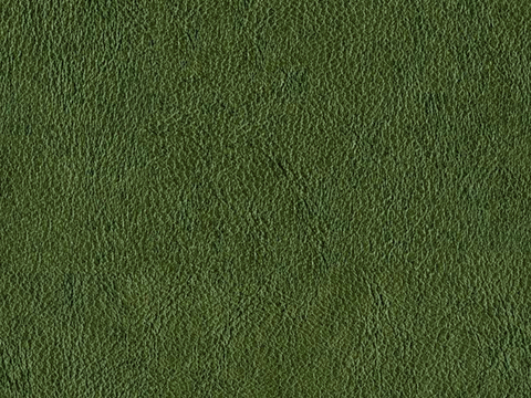  绿色皮革 