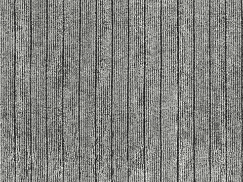  黑白遮罩通道黑白凹凸高光遮罩线条花纹纹理水泥做旧脏旧墙面 