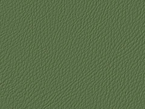  绿色皮革 