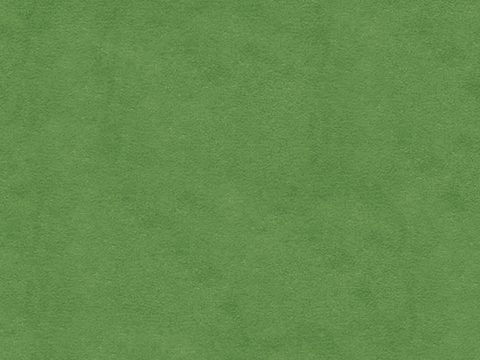  绿色皮革 