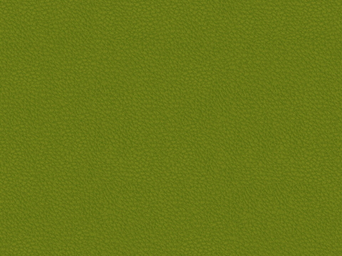  绿色皮革 
