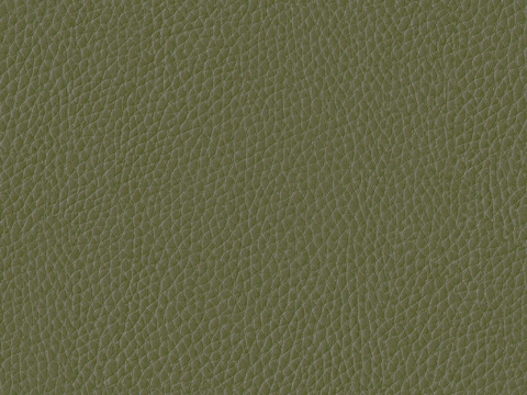  绿色皮革 
