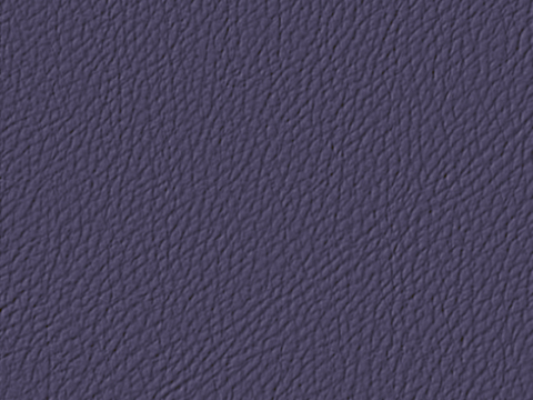  蓝色皮革 