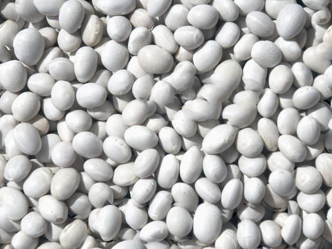 白色鹅卵石贴图33