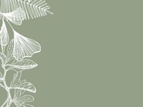 植物壁纸壁布 植物印花壁纸