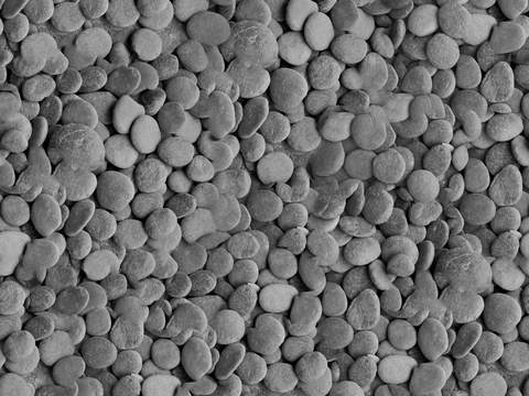 灰色鹅卵石贴图15