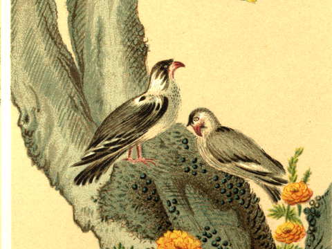  油画挂画抽象画艺术装饰画壁画水墨字画世界名画 