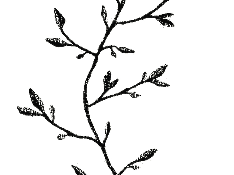 黑白遮罩通道黑白凹凸高光遮罩线条花纹纹理水泥做旧脏旧墙面