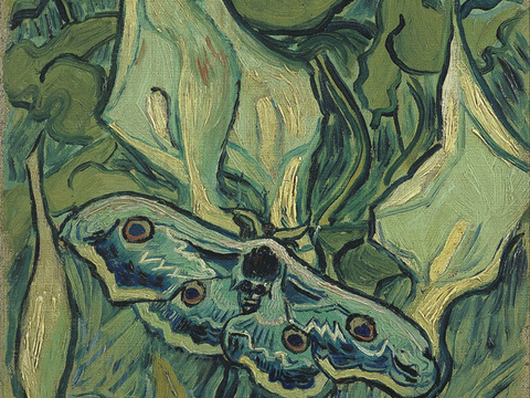 梵高后印象派静物绘画作品，现代世界经典名画285 梵高 Em