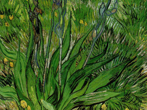 梵高后印象派静物绘画作品，现代世界经典名画294 梵高 Ir