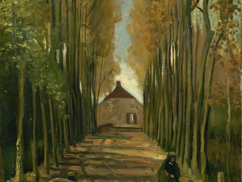 梵高后印象派风景绘画作品，现代世界经典名画014 梵高 Av