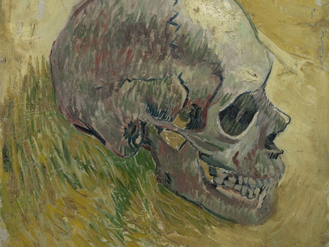 梵高后印象派静物绘画作品，现代世界经典名画307 梵高 Sk