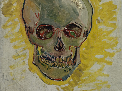 梵高后印象派静物绘画作品，现代世界经典名画306 梵高 Sk