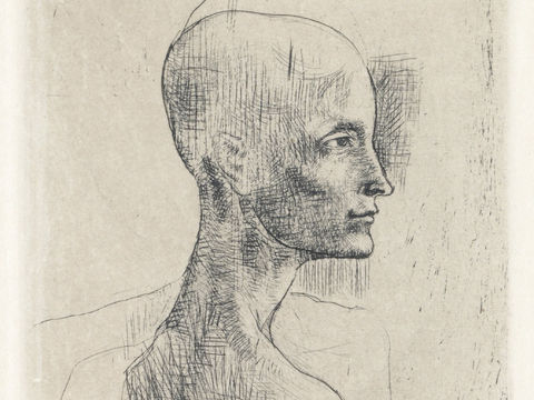  毕加索立体主义绘画作品，现代抽象画，世界经典名画，抽象素描画 