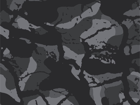 时尚迷彩图案纹理2