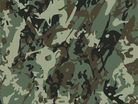 时尚迷彩图案纹理3