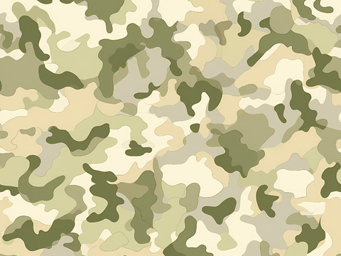  时尚迷彩图案肌理79 