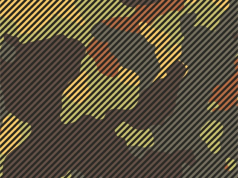 时尚迷彩图案纹理8