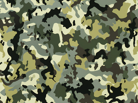 时尚迷彩图案肌理152