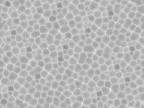 白色泡沫贴图69