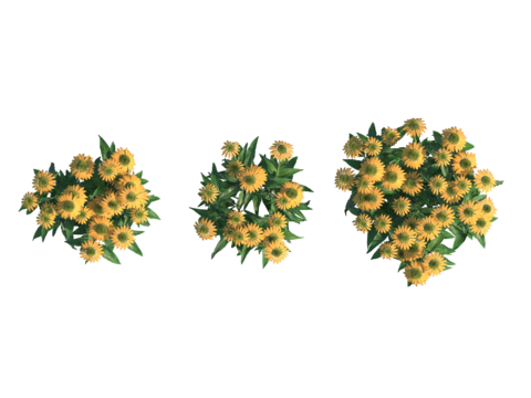  现代植物PNG免抠 
