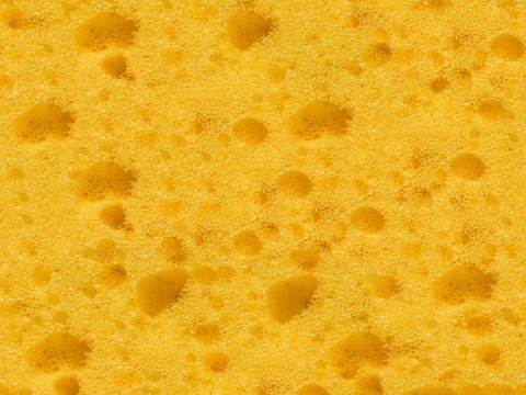  海绵贴图51 