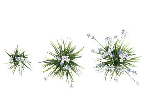 现代植物PNG免抠