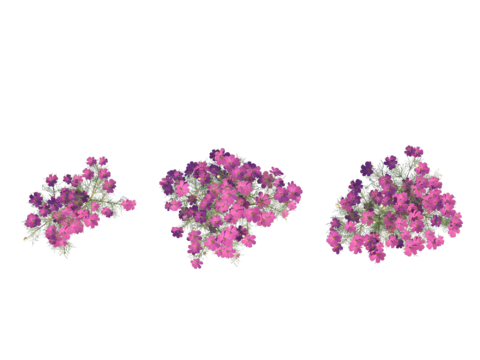  现代植物PNG免抠 