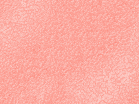 彩色塑料膜贴图68