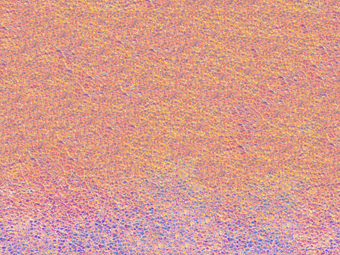  彩色塑料膜贴图06 