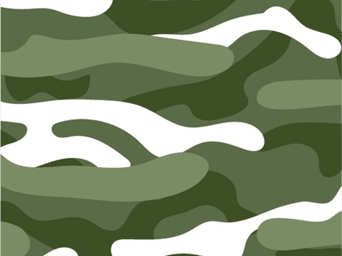迷彩服图案肌理151