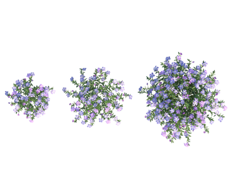  现代植物PNG免抠 