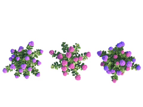  现代植物PNG免抠 