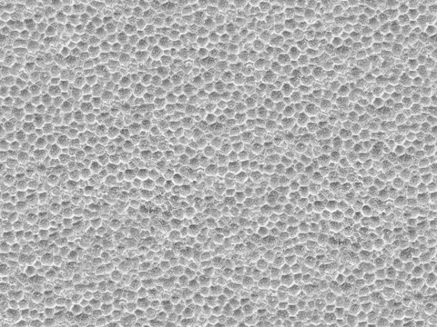 白色泡沫贴图27