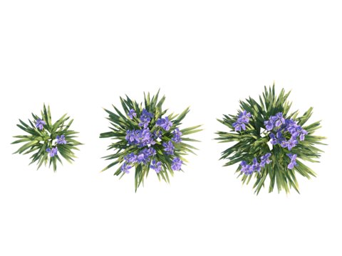 现代植物PNG免抠