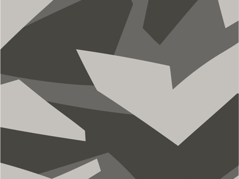 迷彩服图案肌理155