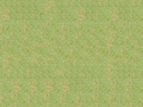 真实质感草地草坡绿地肌理纹理121