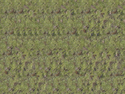 真实质感草地草坡绿地肌理纹理148