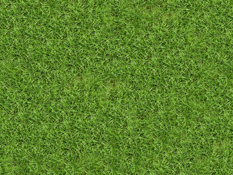 真实质感草地草坡绿地肌理纹理38