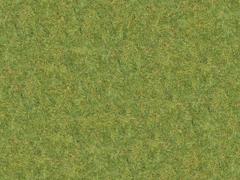  真实质感草地草坡绿地肌理纹理189 