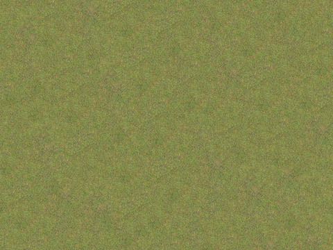  真实质感草地草坡绿地肌理纹理158 